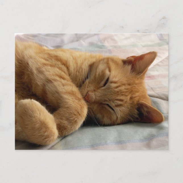 Postal Cartão de Posto Sweet Dreams (Frente)