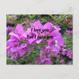 Postal Cartão de posto, Tamanho: Cartão-Postal Padrão, Pa