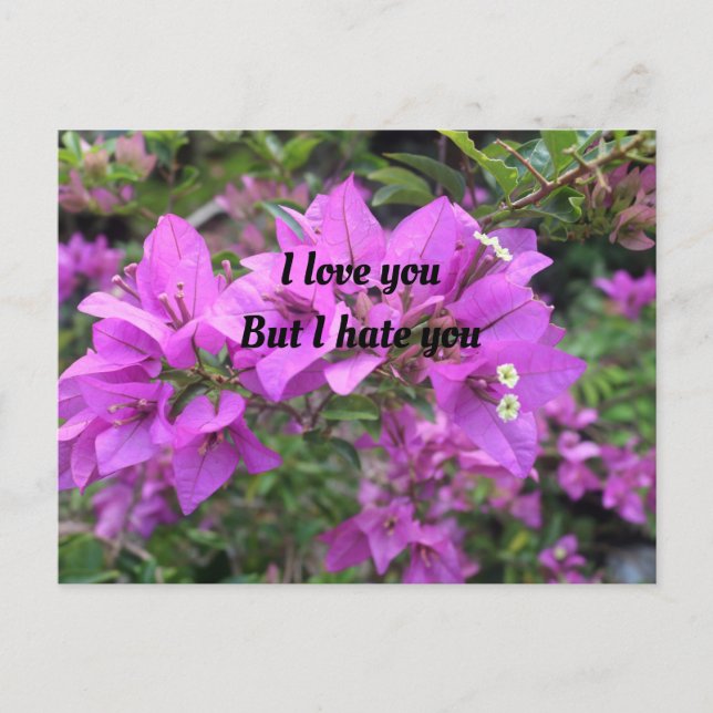 Postal Cartão de posto, Tamanho: Cartão-Postal Padrão, Pa (Frente)