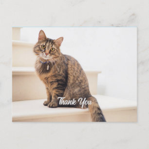 Postal Cartão de posto, Tamanho: Cartão-Postal Padrão, Pa