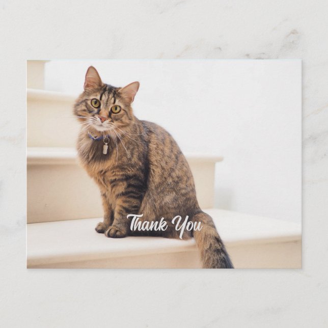 Postal Cartão de posto, Tamanho: Cartão-Postal Padrão, Pa (Frente)