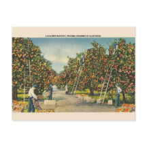 Cartão de Posto Vintage California Orange