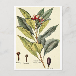 Postal Cartão de receita de folheto ilustrado com folheto