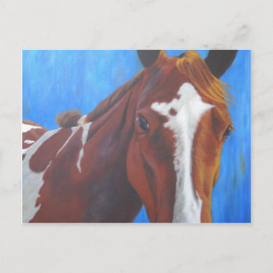 Postal Cartão de saudação de cavalos