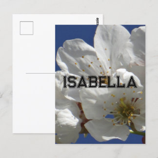 Postal Cartão de Saudação Dobrado das Flores Brancas