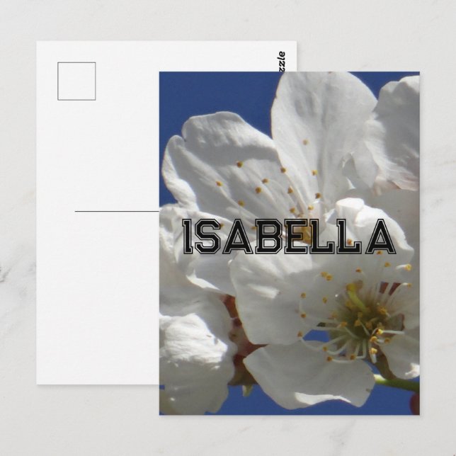 Postal Cartão de Saudação Dobrado das Flores Brancas (Frente/Verso)
