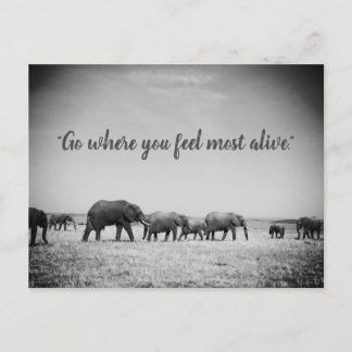Postal Cartão de Saudações de Gerações de Elefantes