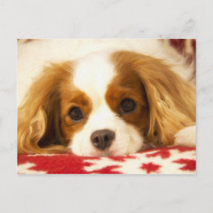 Postal Cartão descuidado do Spaniel de rei Charles do