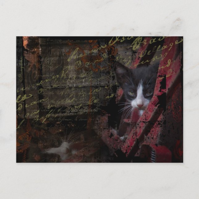 Postal cartão do beco 007 (Frente)