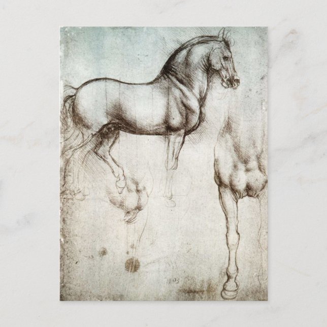 Postal Cartão do cavalo de da Vinci (Frente)