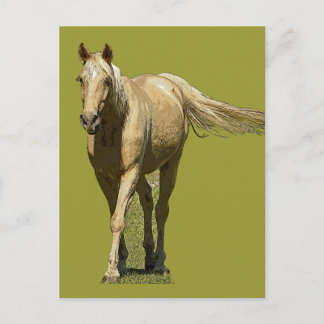 Postal Cartão do cavalo do Palomino
