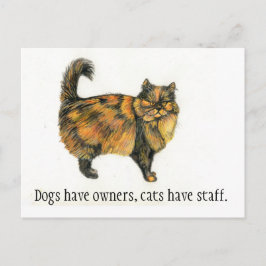 Postal Cartão do gato de gato malhado de Brown