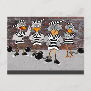 Postal Cartão do Jailbird