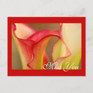 Postal Cartão do lírio de Calla da senhorita Você