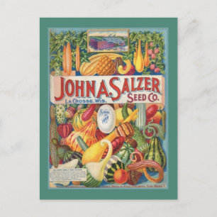 Postal Cartão do pacote da semente do jardim do vintage