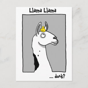 Postal Cartão do pato do lama do lama
