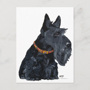 Postal Cartão do Terrier Escocês