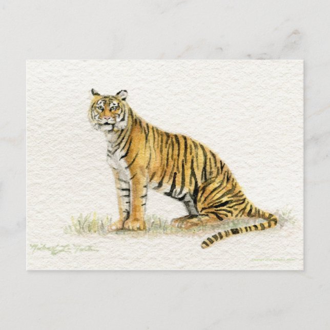 Postal Cartão do tigre de Bengal (Frente)