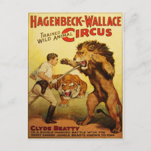 Postal Cartão do vintage do circo de Hagenbeck