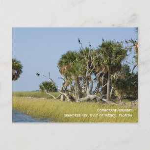 Postal Cartão do viveiro do Cormorant