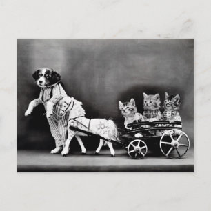 Postal Cartão dos filhotes de cachorro e dos gatinhos do