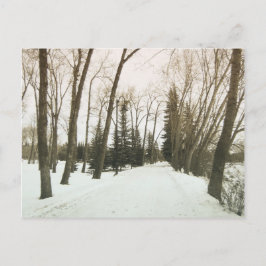 Postal Cartão estilo Vintage - árvores no inverno