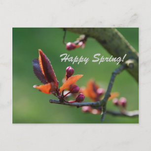 Postal Cartão Feliz Primavera