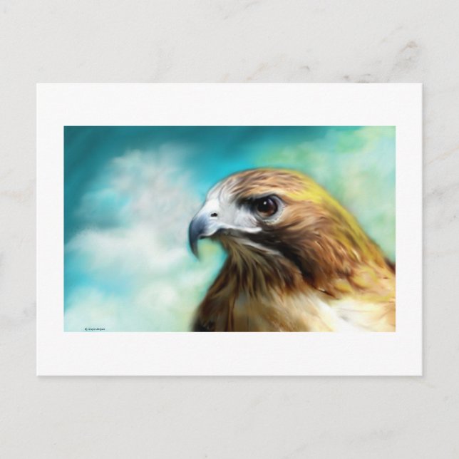 Postal Cartão Hawk Red Tail (Frente)