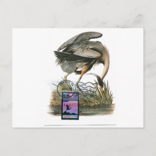 Postal Cartão máximo Heron Azul excelente Audubon