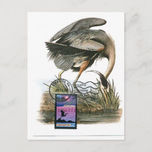 Postal Cartão máximo Heron Azul excelente Audubon