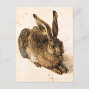 Postal Cartão novo da lebre de Albrecht Durer