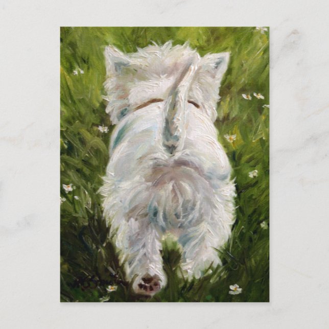 Postal Cartão ocidental de Terrier das montanhas de (Frente)