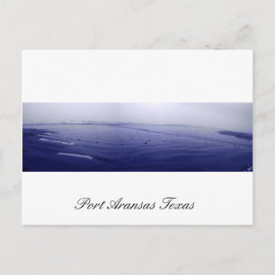 Postal Cartão (panorâmico) da névoa de Aransas do port