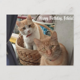 Postal cartão plano de aniversário de saudações