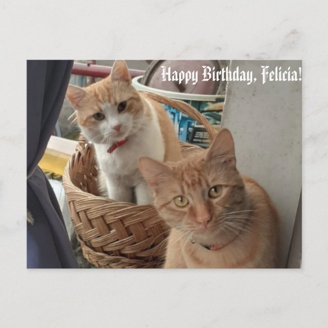 Postal cartão plano de aniversário de saudações (Frente)