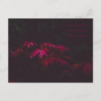 Postal cartão poesia