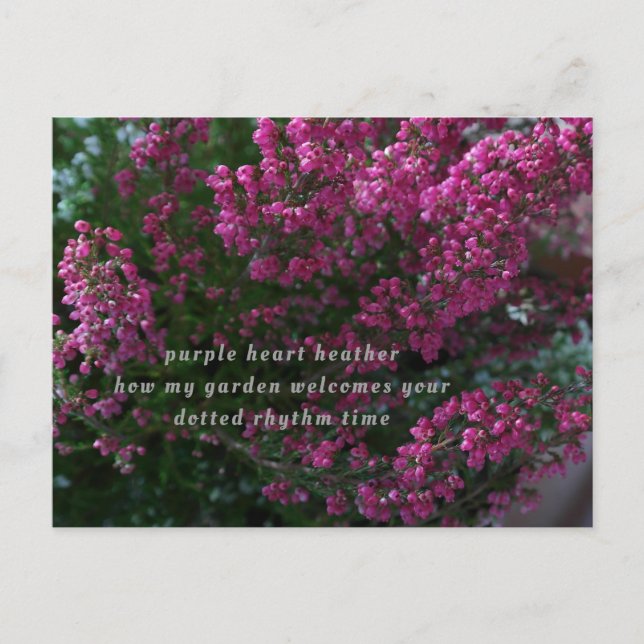 Postal cartão poesia (Frente)