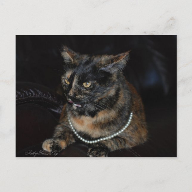 Postal Cartão postal. (Frente)