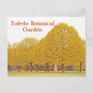 POSTAL CARTÃO POSTAL, ÁRVORES DE DOURADO JARDIM BOTÂNICO 