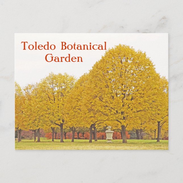 POSTAL CARTÃO POSTAL, ÁRVORES DE DOURADO JARDIM BOTÂNICO  (Frente)