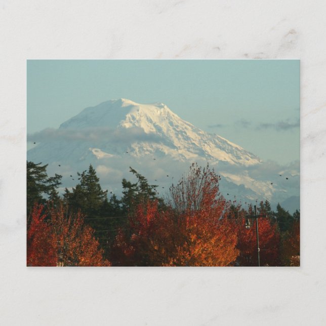 Postal Cartão Postal: Autumn Mt Rainier (Frente)
