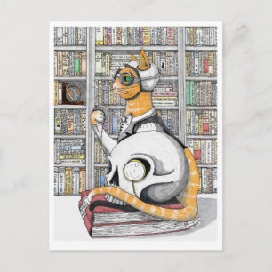 Postal Cartão Postal: Aviação para gatos