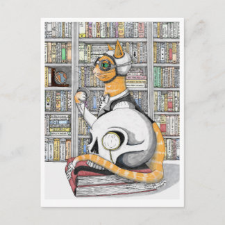 Postal Cartão Postal: Aviação para gatos