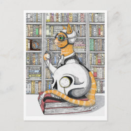 Postal Cartão Postal: Aviação para gatos