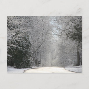 Postal Cartão postal, cena de neve, fotografia de alta de