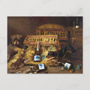 Postal Cartão Postal: Dois cachorros perseguindo um rato