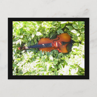 Postal Cartão-postal Fiddle e Cartão de posto Ivy Violin