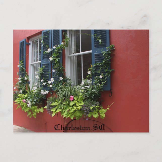 Postal Cartão postal, fotografia de alta definição Charle (Frente)