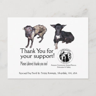 Postal Cartão postal: Moisés, Antes e Depois de seu Resga