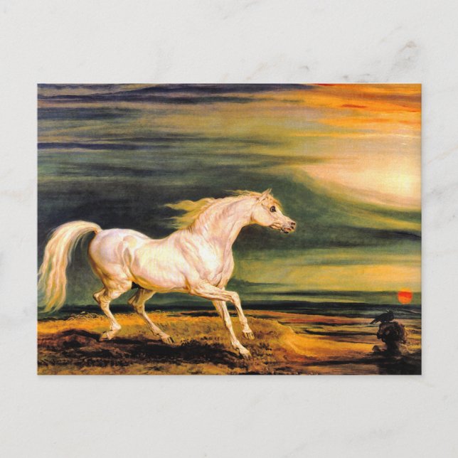 Postal Cartão postal: Napoleão Marengo (Frente)
